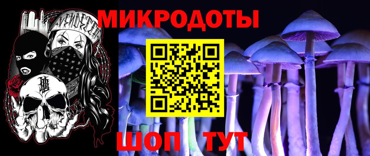 Галлюциногенные грибы Cubensis Мариинск