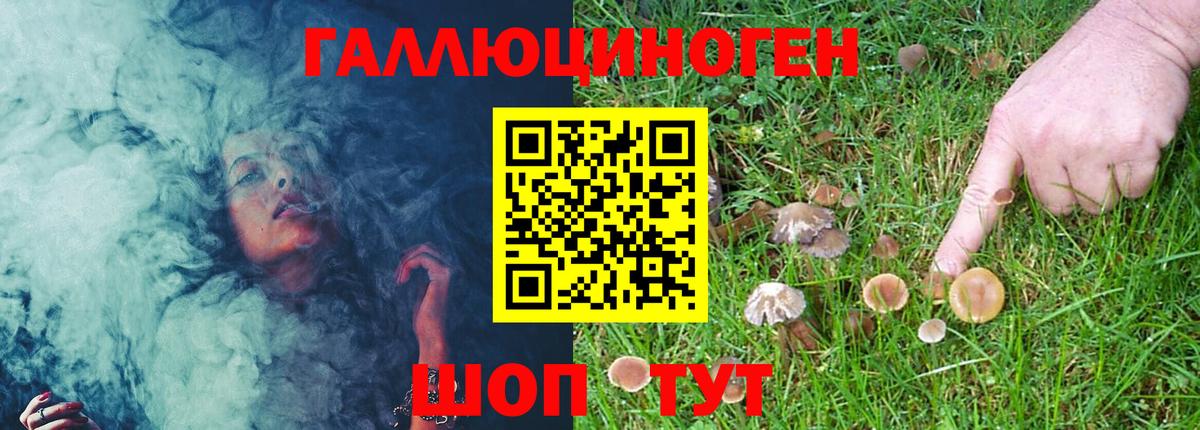 Мариинск  Псилоцибиновые грибы Psilocybe  Галлюциногенные грибы MAGIC MUSHROOMS  Вход с VPN 